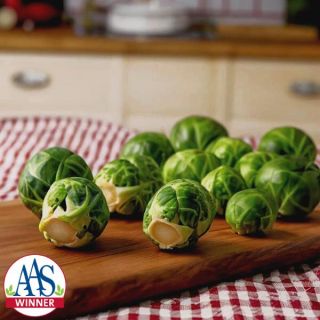 Brussels Sprouts Thumbnail